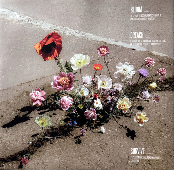 Lewis Capaldi : Survive (12", EP, Ltd, Cle)