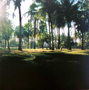 Ratatat : Ratatat (LP, Album, Gat)