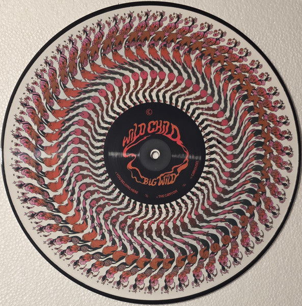 Big Wild : Wild Child (2xLP, Album, Ltd, Zoe)