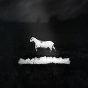 the album cover for Les Discrets - Predateurs (Blk) [180 Gram]