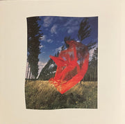 Pink Floyd : Wish You Were Here (4xLP, Album, Cle + 7", Single + 2xCD, Album + Blu-)