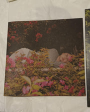 Silvana Estrada : Vendrán Suaves Lluvias (LP, Ltd)