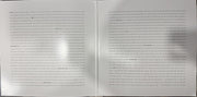 Alt-J : An Awesome Wave (12", Ltd, Gat)