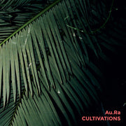 the album cover for Aura - Cultivations