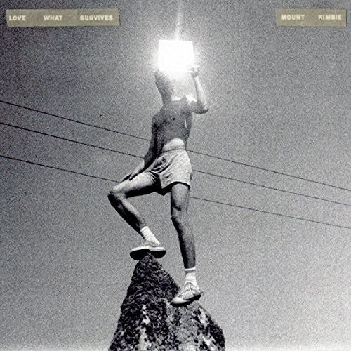 the album cover for Mount Kimbie - Love What Survives [2LP]