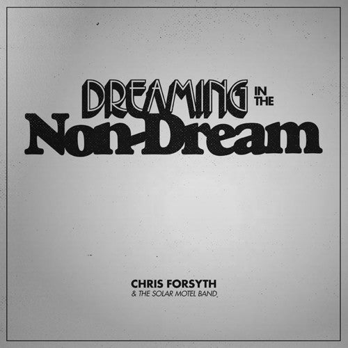 the album cover for Chris Forsyth & The Solar Motel Band - Dreaming In The Non-Dream [LP]