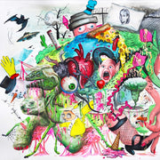 the album cover for Tropical Fuck Storm - Braindrops