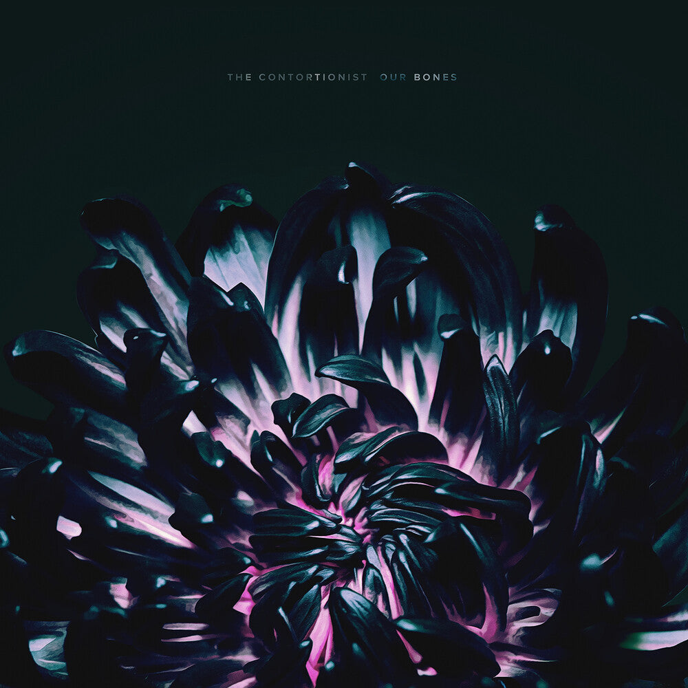 the album cover for The Contortionist - Our Bones EP [Vinyl]