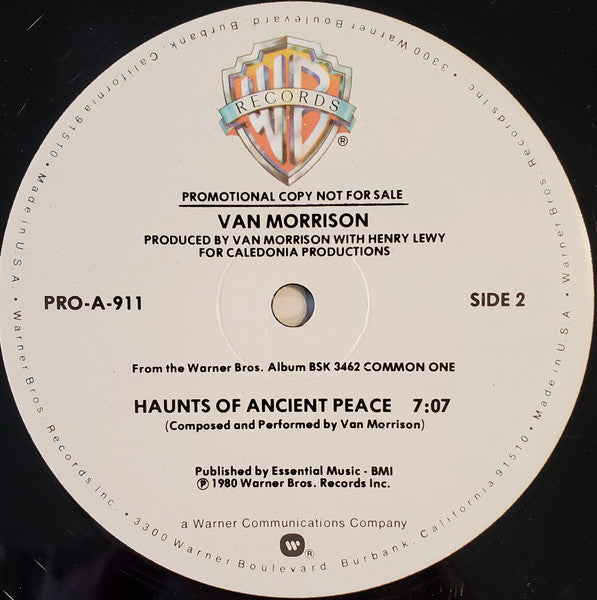 Van Morrison : Summertime In England / Haunts Of Ancient Peace (12", Promo)