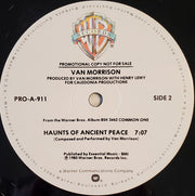 Van Morrison : Summertime In England / Haunts Of Ancient Peace (12", Promo)