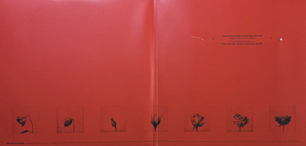 Raye (3) : This Music May Contain Hope. (2xLP, Album, Yel)