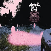 the album cover for Ariel Pink - Dedicated To Bobby Jameson [Deluxe Edition 2LP]