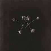 the album cover for Waterstrider - Nowhere Now