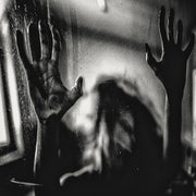 the album cover for Behind The Shadow Drops - Harmonic