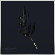 the album cover for Album Leaf - An Orchestrated Rise To Fall (Blue) [Colored Vinyl] [Limited Edition]