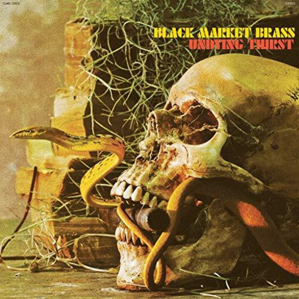 the album cover for Black Market Brass - Undying Thirst