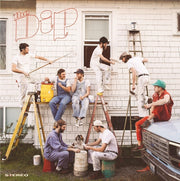 the album cover for Dip - The Dip