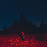 the album cover for Phoebe Bridgers - Punisher