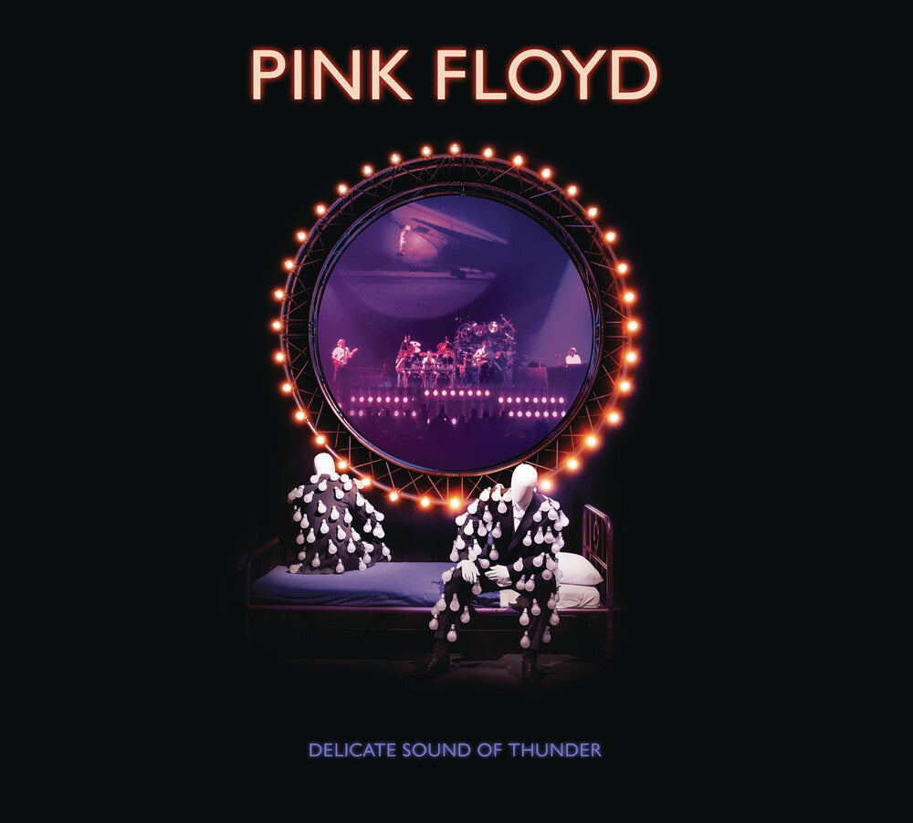the album cover for Pink Floyd - Delicate Sound Of Thunder: Remastered [2CD]