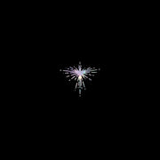 the album cover for Karen O - Lux Prima
