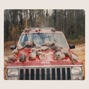 the album cover for Efrim Manuel Menuck & Kevin Doria - Are Sing Sinck Sing