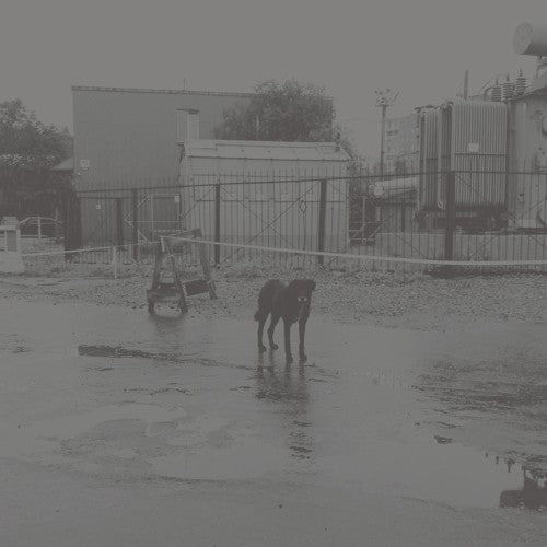 the album cover for Nivhek - After Its Own Death / Walking In A Spiral Towards The House