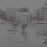 the album cover for Nivhek - After Its Own Death / Walking In A Spiral Towards The House