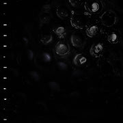 the album cover for Crumb - Ice Melt