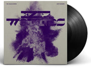 the album cover for The Wallflowers - Exit Wounds [LP]
