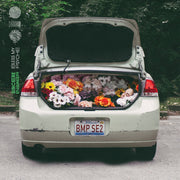 the album cover for Sincere Engineer - Bless My Psyche [Indie Exclusive Limited Edition Purple LP]