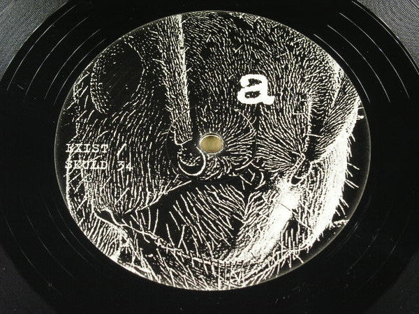 Civil Disobedience : Invention / Extinction (LP, Album)
