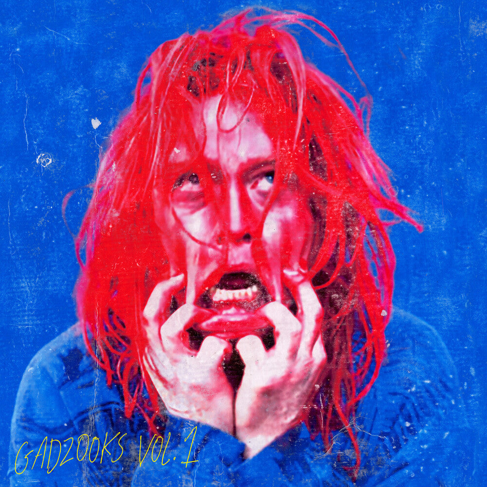 the album cover for Caleb Landry Jones - Gadzooks Vol. 1 [LP]
