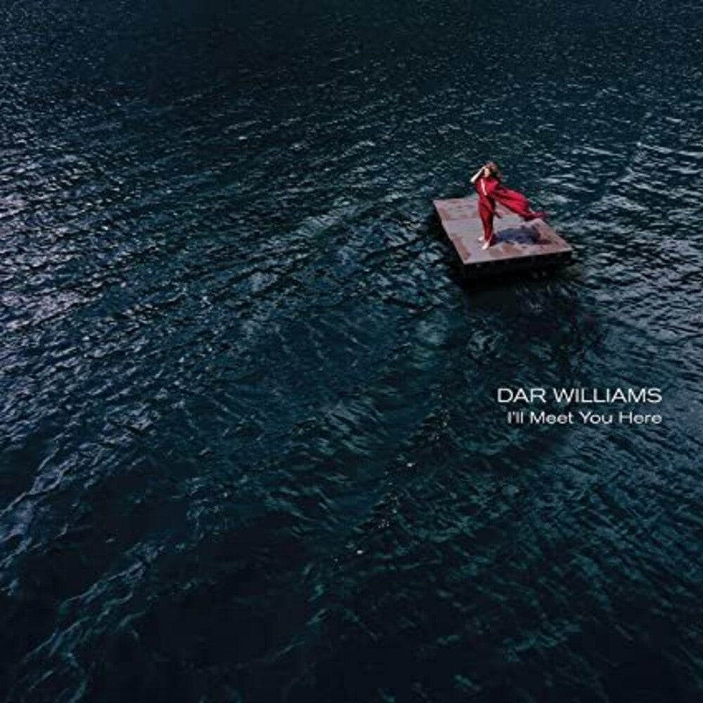 the album cover for Dar Williams - I'll Meet You Here