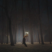 the album cover for Geese - Projector