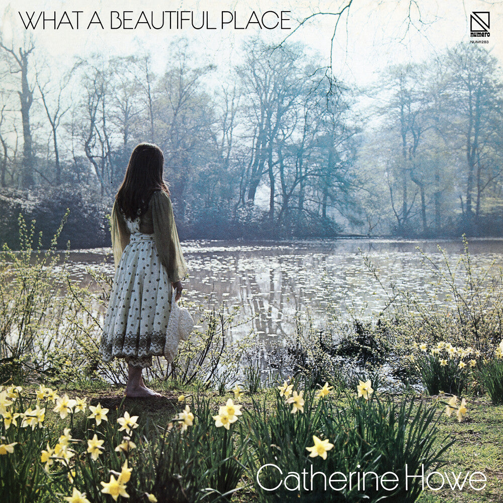 the album cover for Catherine Howe - What a Beautiful Place [Yellow LP]