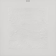 the album cover for Bon Iver - Bon Iver: 10th Anniversary Edition