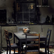 the album cover for Joey Cape - Good Year To Forget