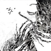the album cover for Negura Bunget - Virstele Pamintului