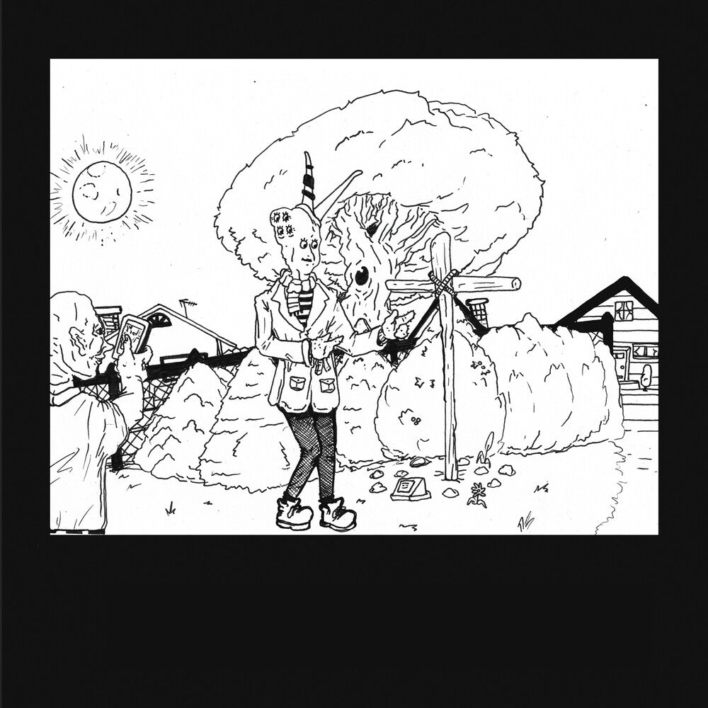 the album cover for Teen Suicide - It's The Big Joyous Celebration (Blk) [Colored Vinyl] (Wht)