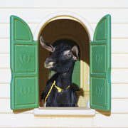 the album cover for Superchunk - Wild Loneliness [Indie Exclusive Limited Edition Peak LP]