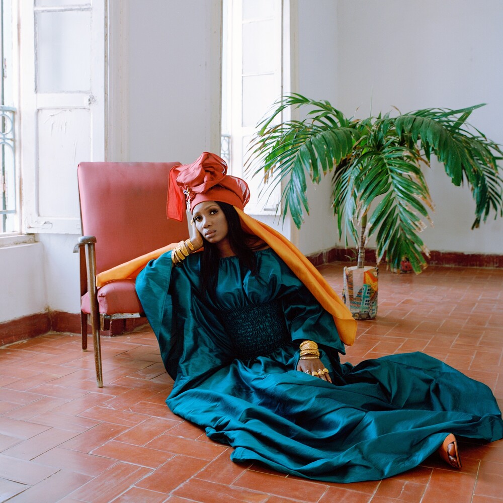 the album cover for Rokia Koné/Jacknife Lee - Bamanan [2LP]