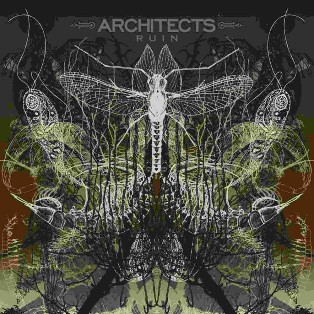 the album cover for Architects - Ruin (Can)
