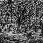 the album cover for Bismuth - The Eternal Marshes