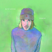 the album cover for David Sylvian - Blemish [LP]