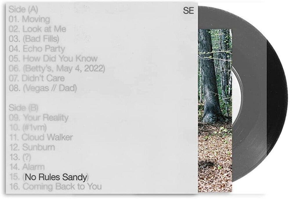 the album cover for Sylvan Esso - No Rules Sandy [LP]
