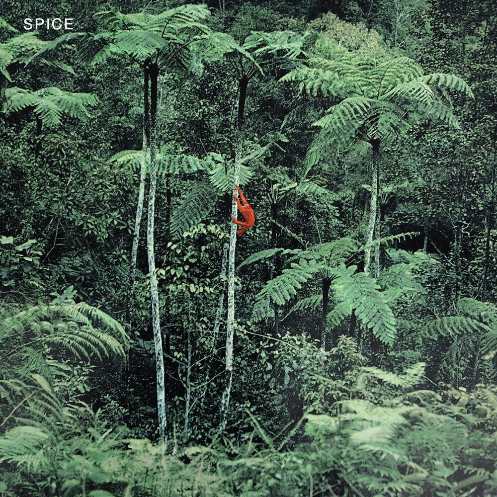 the album cover for Spice - Spice - Grey [Colored Vinyl] (Gry)