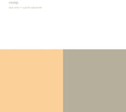 the album cover for Alva Noto & Ryuichi Sakamoto - Revep
