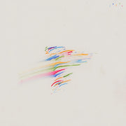the album cover for ghost orchard - rainbow music [LP]