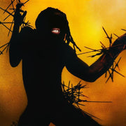 the album cover for Young Fathers - Heavy Heavy [LP]