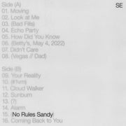 the album cover for Sylvan Esso - No Rules Sandy [Indie Exclusive Limited Edition Tiger's Eye LP]